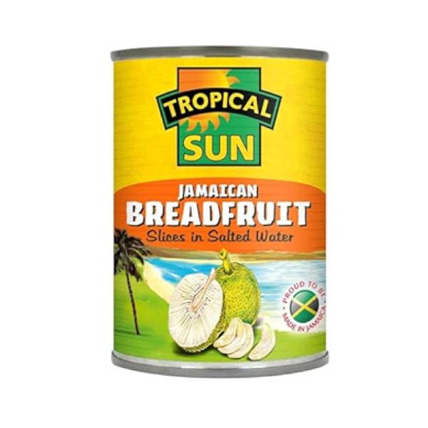 TROPICAL SUN BREAD FRUIT 540G