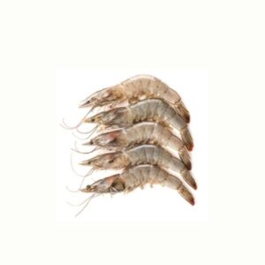 FROZEN COOKED SHRIMPS PRAWN (600G)(1 kg)