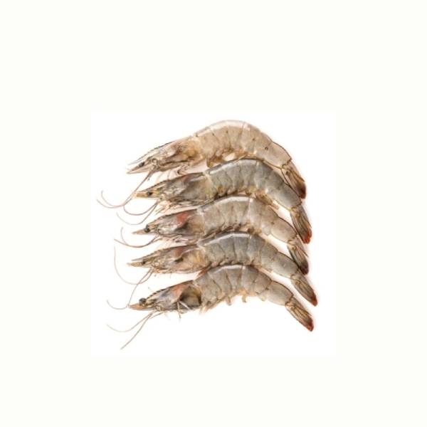 image (3) FROZEN COOKED SHRIMPS PRAWN (600G)(1 kg)